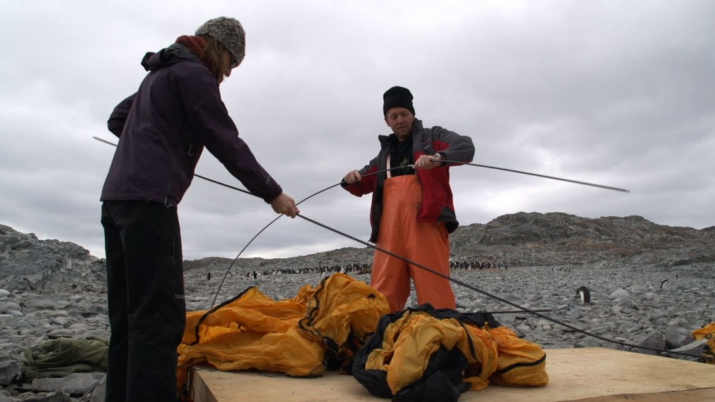 Jen and Oscar Schofield build a tent on Avian Island, Jan 2013.