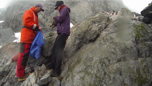 Birders live life on the edge as they study penguins on the cliffs of Charcot